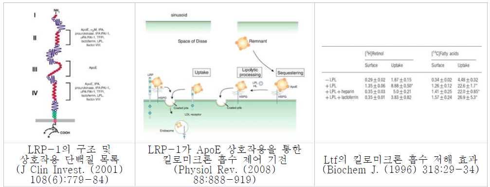 표적인자 Ltf와 LRP-1간의 상호작용 확인