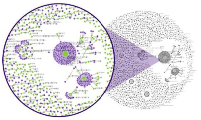 Social Network Analysis를 통한 브랜드 및 소비자 분석 및 모니터링