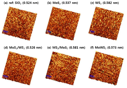 (a) SiO2/Si wafer, (b) MoS2, (c) WS2, (d) MoS2/WS2, (e) WS2/MoS2, (f) MoWS2 박막의 표면 morphology 및 표면 조도