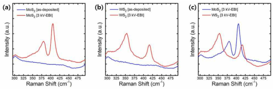 SiO2/Si wafer 상에 증착된 3 kV 전자빔 처리 전후의 단일 구조 (a) MoS2와 (b) WS2 박막 Raman spectrum