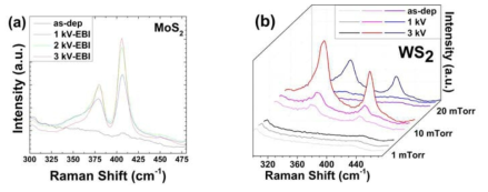 SiO2/Si wafer 상에 증착된 (a) MoS2와 (b) WS2 film Raman spectra