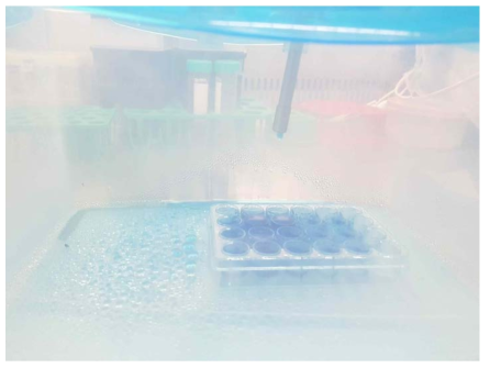 methylen blue 용액 분사 테스트