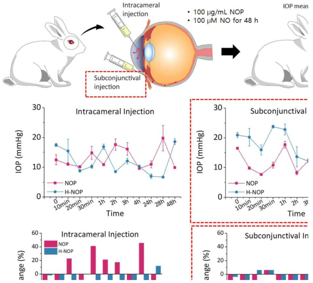정상안압 토끼를 이용하여 산화질소를 처리하였을 때의 안압 하강효과를 알아보기 위해 산화질소 방출 소립자를 결막하와 전방내 주사하고 안압 변화를 확인함. 전방내 주사의 경우 산화질소 군에서 안압하강효과가 보이지만 안압의 변동이 컸으나, 결막하주사의 경우 산화질소 군이 48시간까지 지속적으로 안압이 하강하는 것을 확인함