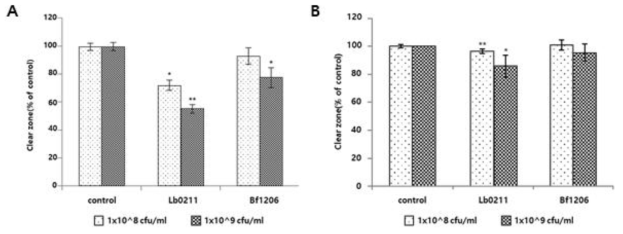 Antiviral effects of Lb0211 and Bf1206 on Rotavirus infected (A) Caco-2 cells and (B) HT-29 cells. Cells (5×106 cell/mL) were infected with 400μl of Rotavirus for 2hr. Then, probiotics were treated for 24h. Antiviral activity was determined by plaque assay. control; Rotavirus infected cells. The value represents the mean ± S.D. Significantly different, * p<0.05, ** p<0.01
