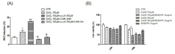 (A) Cocl2와 α-Lipoic acid 처리 후 AVO 유발 확인 결과. (B) Lysosome inhibitor인 E64d/pepstatin A를 이용한 세포 생존률