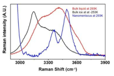 벌크한 물, 얼음 그리고 나노메니스커스의 라만신호 비교