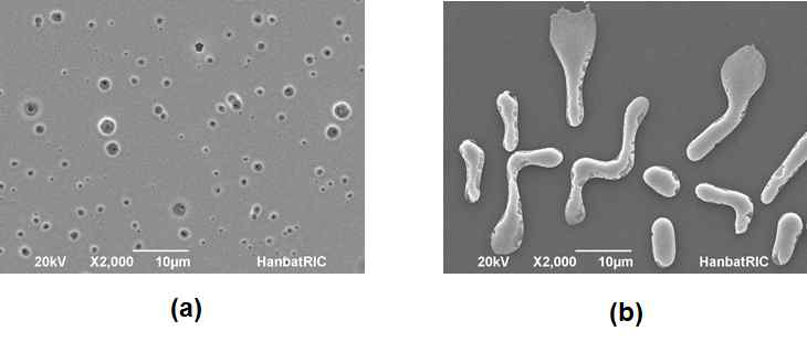 GeTe 칼코겐화물 박막의 열처리 온도에 따른 응집 특성. (a) 300℃ 및 (b) 400℃