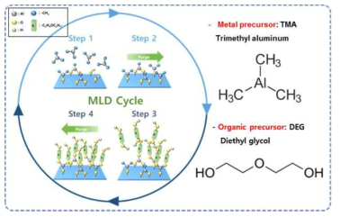 분자층 증착법의 모식도와 사용된 금속, 유기 전구체