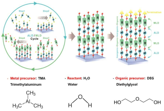 원자층 증착법 / 분자층 증착법 방법의 모식도와 사용된 금속, 반응물, 유기 전구체