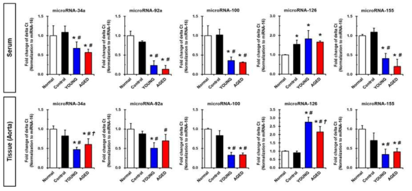 노화정도가 다른 지방줄기세포 분비 배양액 이식 후 혈액 및 혈관조직(대동맥) 내 microRNA 변화 관찰