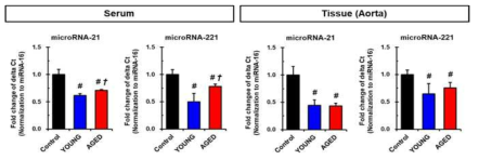 두 지방줄기세포 분비 배양액 이식 후 혈액 및 혈관조직(대동맥) 내 microRNA 변화 관찰