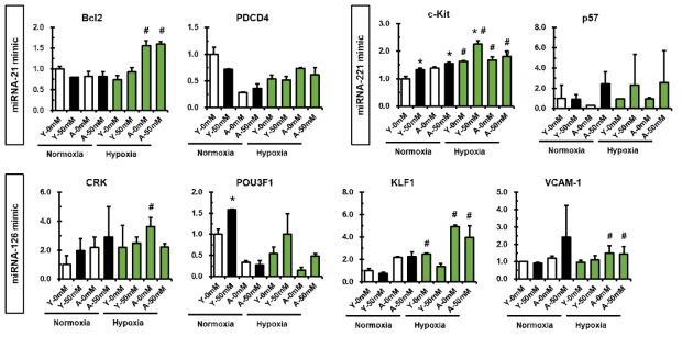 노화정도가 다른 지방줄기세포에 microRNA mimic 시스템을 이용하여 mimic을 유도한 후, 동맥경화 관련된 microRNA의 표적 유전자들의 변화 관찰