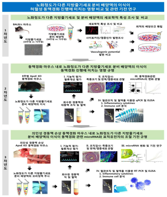 연구의 개요