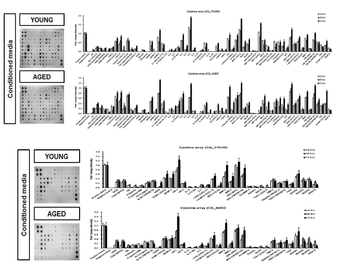 배양시간에 따른 노화정도가 다른 지방줄기세포 분비 배양액 내 싸이토카인/염증인자, 케모카인 및 그 수용체의 발현능의 비교