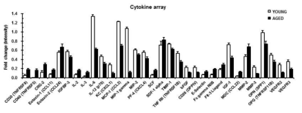 최적 배양조건에서의 노화정도에 따른 지방줄기세포 분비하는 대표적인 싸이토카인
