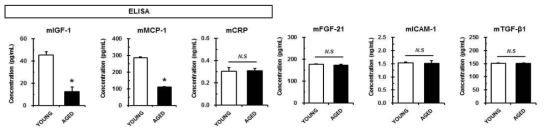 ELISA를 통한 관련마커(IGF-1, MCP-1, CRP, FGF-21, ICAM-1 및 TGF-β1)의 조사