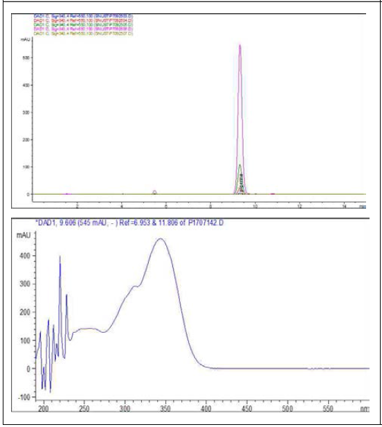 Specificity 및 spectrum