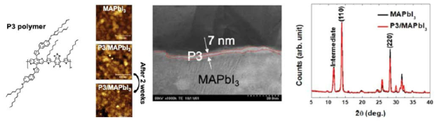 P3 폴리머의 화학구조와 MAPbI3, P3코팅한 MAPbI3의 표면 및 단면 이미지,XRD 측정 결과