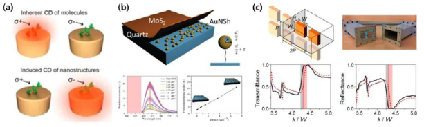 (a) 나노구조/카이랄 분자 결합 소자에서의 원형이색성 신호 분석, (b) 2차원 물질/금나노입자 접합 소자에서의 PL 신호 증강, (c) 무손실 음굴절 메타물질 개발