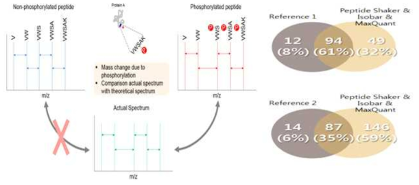 단백유전체데이터에서 인산화 사이트 예측을 위한 개요도(우) 및 알려진 인산화 사이트의 동정 비율