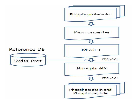 Phosphoproteomics pipeline