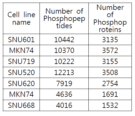 동정된 phosphopeptide 및 protein