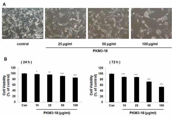 PKM3-18에 의한 cell viability를 억제 효과