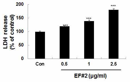 EF#2(isolinderalactone)에 의한 LDH release 증가