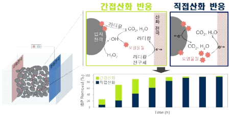 시간에 따른 입자전극에 의해 유도된 주요 유기오염물질 제거반응 변화