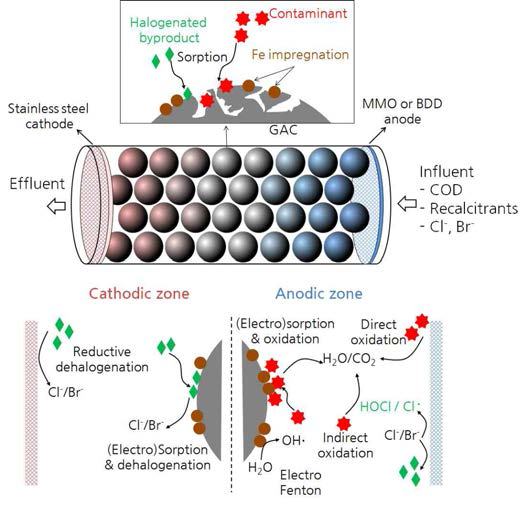 3차원 Fe/AC 전극을 이용한 전기화학적 흡착·산화·환원 공정