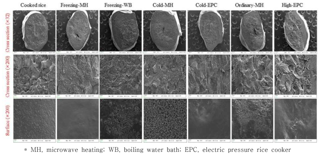 저장방법 및 재가열에 따른 쌀밥의 SEM 현미경 사진
