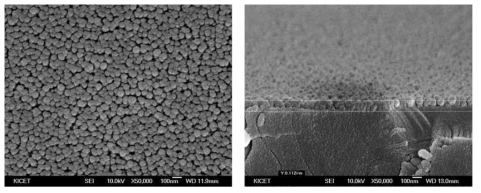 AgO seed layer 표면에 성장된 ZnO 나노 막대 구조 (100nm length)