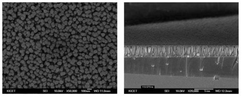 AgO seed layer 표면에 성장된 ZnO 나노 막대 구조 (500nm length)