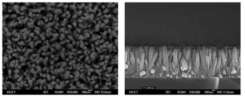 AgO seed layer 표면에 성장된 ZnO 나노 막대 구조 (1,000nm length)