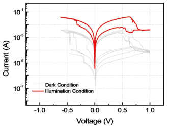 Bipolar resistive switching 기반 plasticity 특성