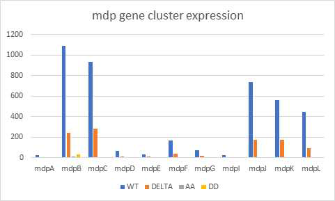 mdp 유전자 클러스터 발현 패턴
