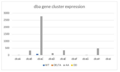 dba 유전자 발현 패턴
