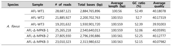 A. flavus RNA-seq raw data 결과