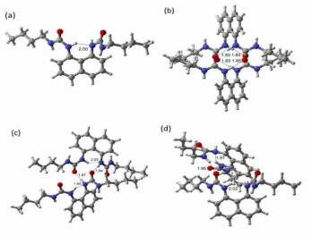 Schematic structures and hydrogen bonds (in Å) of B3LYP/6-31G(d) optimized monomer and dimer molecules