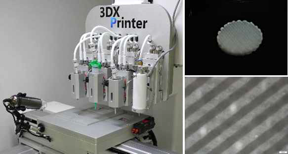 바이오프린팅에 사용된 3DX 프린터와 생체적합성 및 유효성 검증을 위해 제작된 3D 바이오 복합 지지체