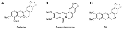Structure of berberine and its derivatives