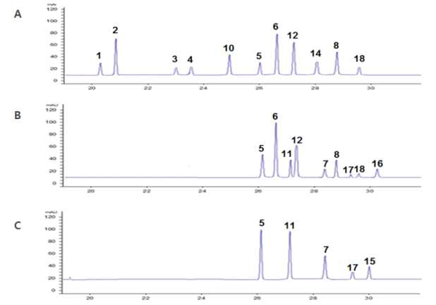 도라지 extract 내 사포닌들의반응 전/후에 대한 HPLC chromatogram