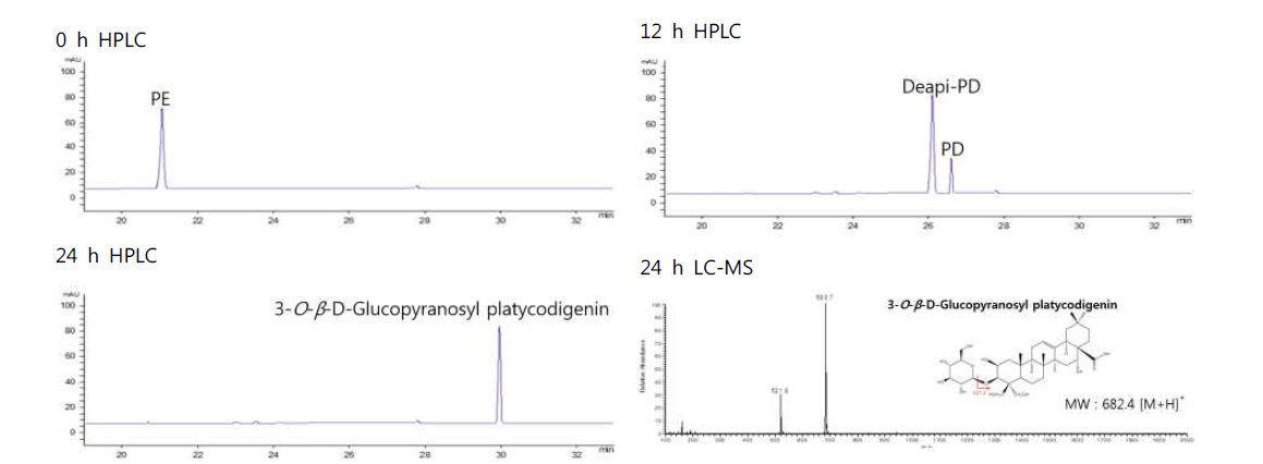 Pectinex Ultra SP-L 의한 도라지 추출물에 존재하는 PE로부터 3-O-β-D-glucopyranosyl platycodigenin로의 생물전환 과정의 HPLC 및 산물의 LC-MS