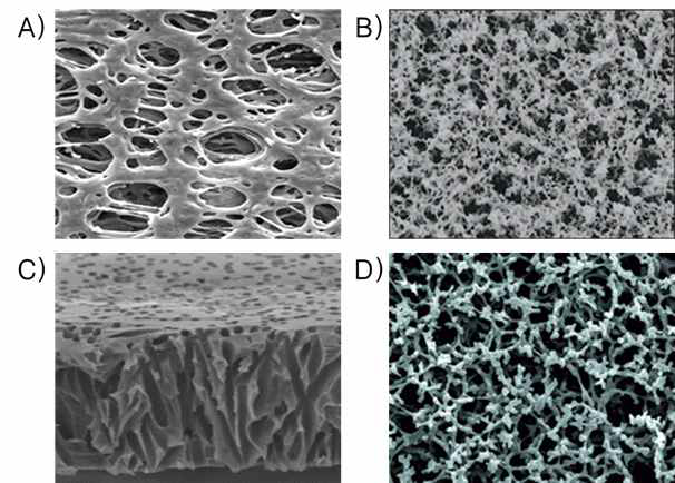 Filter 종류에 따른 membrane 구조. A) polyethersulfone (PES), B) mixed cellulose esther (MCE), C) Polycarbonate, D) cellulose nitrate (CN)