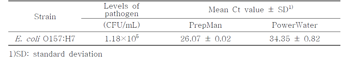 DNA 추출 방법에 따른 E. coli O157:H7의 검출 효율 비교