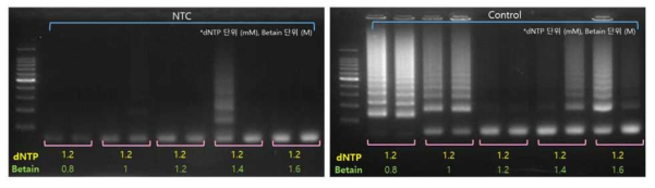 Betaine 농도에 따른 specificity 증진 결과 비교