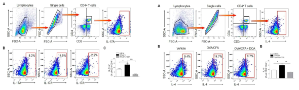 DCA에 의한 Th17과 Th2 population의 변화