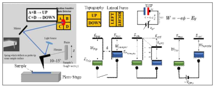 Lateral Force Microscope 와 Kelvin Probe Force Microscope의 실험 set-up 모식도