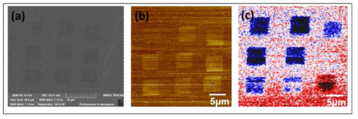 Electron beam exposed 영역에서의 표면 분석. (a) SEM image. (b) LFM 데이터. (c) KPFM 데이터