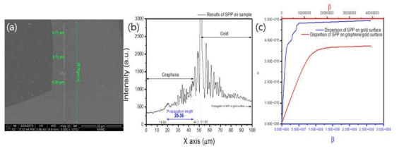 (a) 금박막 표면에 위치한 단일층 그래핀 영역(짙은 회색 부분)과 표면 플라즈몬 여기를 위한 슬릿 구조 (b) 근접장 현미경을 이용하여 얻어진 하이브리드 구조에서의 표면 플라즈몬 측정 결과 (c) 금 박막과 그래핀/금 하이브리드 구조의 표면플라즈몬 분산특성 시뮬레이션 결과. 이를 통하여 그래핀/금 영역에서 표면 플라즈몬의 감쇄가 정량적으로 분석 될 수 있었으며 이를 이용한 표면 플라즈몬 damper, waveguide 등의 가능성을 타진하였다